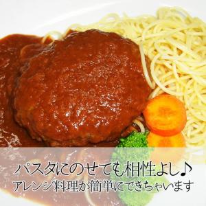 バンバーグ 飛騨牛 煮込み ハンバーグ 1個 ...の詳細画像4
