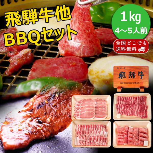 肉 送料無料 福袋 牛肉 バーベキューセット 1kg 飛騨牛 国産豚肉 約4〜5人前 焼肉 お買い得...