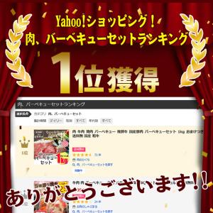 飛騨牛 国産豚 焼肉セット 1kg 4人5人前...の詳細画像3