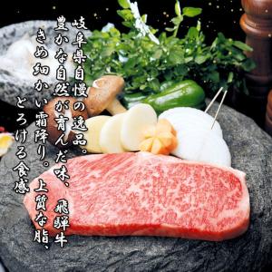 肉 牛肉 焼肉 ステーキ 飛騨牛 もも肉 10...の詳細画像4