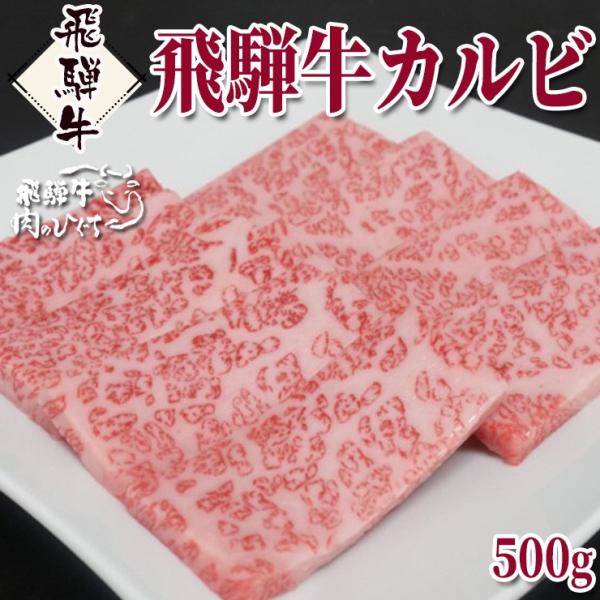 肉 牛肉 焼肉 飛騨牛 カルビ 500g 黒毛和牛 焼き肉 バーベキュー キャンプ お取り寄せグルメ...
