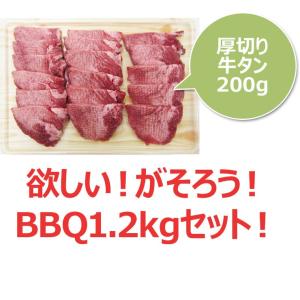 バーベキューセット 1.2kg 約4人から5人...の詳細画像2
