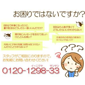 バーベキューセット 1.2kg 約4人から5人...の詳細画像5