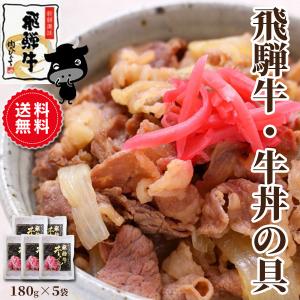 肉 牛肉 飛騨牛 牛丼の具 180g×5袋 レトルト 簡単調理 黒毛和牛 ギフト ストック お取り寄せ グルメ 温めるだけ お手軽｜nikunohiguchi-yafuu