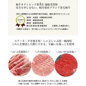 肉 訳あり 送料無 飛騨牛 切り落とし 500...の詳細画像2