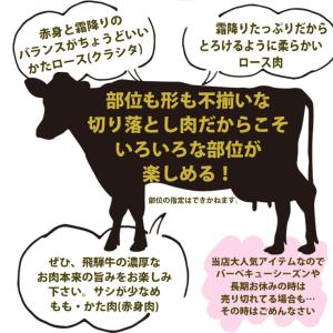 肉 焼肉 飛騨牛 切り落とし 焼肉 400g ...の詳細画像4