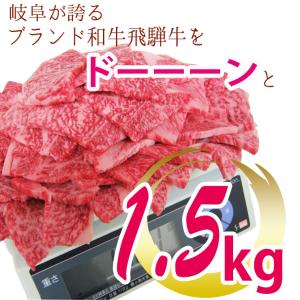 肉 焼肉 焼肉セット 焼き肉 bbq 飛騨牛 ...の詳細画像1