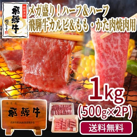 肉 福袋 牛肉 焼肉セット 飛騨牛 メガ盛り 1kg カルビ もも かた肉 赤身 約4〜5人 焼肉 ...