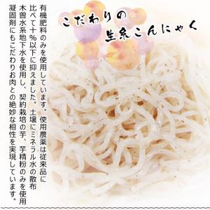 ハロウィン 2026 肉 ギフト 牛肉 飛騨牛...の詳細画像5