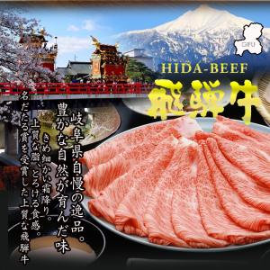 お中元 2026 ギフト 飛騨牛 国産豚肉 安...の詳細画像4