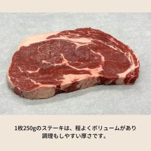 オーストラリア アンガス牛リブロース 1枚25...の詳細画像3