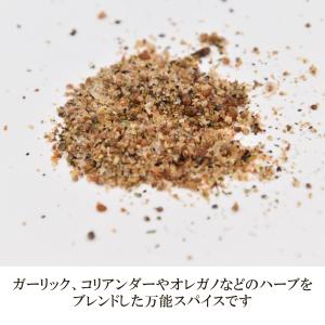 お肉に合う!オリジナルスパイス 10パックセッ...の詳細画像1