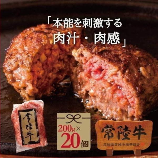 ハンバーグ セット 無添加 冷凍 お取り寄せ 牛肉 送料無料 惣菜 常陸牛 200g × 20個入り...