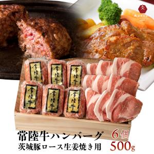 寒中見舞い バレンタイン 2026 肉 ギフト 誕生日 内祝い 常陸牛ハンバーグ 100g 6個 ＆ 豚生姜焼き500g ローズポーク 冷凍 プレゼント 結婚 出産 内祝い 合格祝