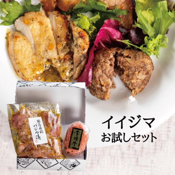 お歳暮 2025 ギフト 肉 3000円 常陸牛 ハンバーグ 若鶏バジル イイジマお試しギフト2種 ...