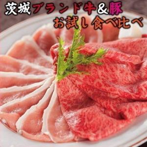 すき焼き 焼肉 しゃぶしゃぶ お試しセット 常陸牛A5 カルビ