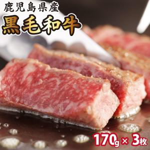 ステーキ 黒毛和牛 サーロイン リブロースステーキ 牛肉 510g A5 A4 焼き肉 幻のロインステーキ