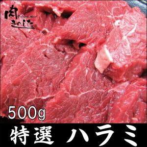 牛肉 特選ハラミ 500g BBQ バーベキュー 焼肉｜nikunokinoshita