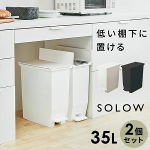 2個セット ダストボックス ゴミ箱 SOLOW ソロウ ペダルオープンツイン 35L 抗菌 防汚 加工 分別ゴミ箱 キッチン シンプル ホワイト ブラック 白