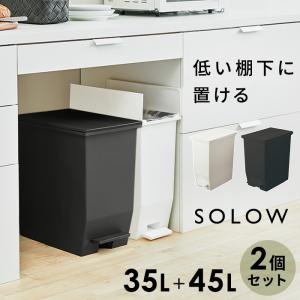 2個セット ダストボックス ゴミ箱 SOLOW ソロウ ペダルオープンツイン 35L 45L 各1個 抗菌 防汚 加工 分別ゴミ箱 キッチン シンプル ホワイト ブラック 白｜nikurasu