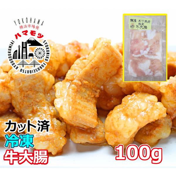 国産牛大腸 100g 市場直送 ハマモツ 焼肉 ホルモン  シマチョウ