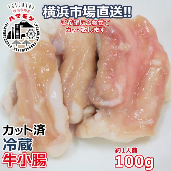 国産牛小腸 100g 市場直送 ハマモツ   ホルモン　モツ鍋　博多もつ鍋