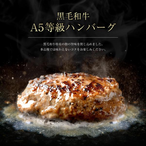 肉 牛肉 ハンバーグ 黒毛和牛 父の日 惣菜 ハンバーグセット ハンバーグギフト 450g（150g...
