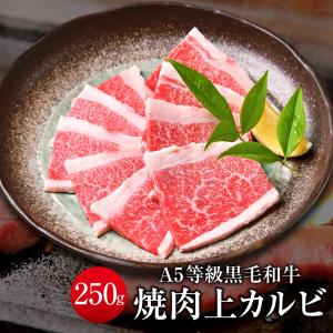 焼肉 牛肉 父の日 プレゼント 2024 カルビ 黒毛和牛 250g ギフト A5等級 お取り寄せ｜nikuya-mond