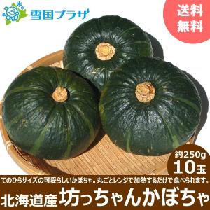 雪国プラザ Yahoo ショッピング店 年出荷 予約 坊ちゃんかぼちゃ 予約 かぼちゃ Yahoo ショッピング