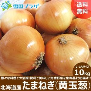 【予約】北海道産 玉ねぎ 10kg(共撰/M〜Lサイズ) 食欲の秋 たまねぎ タマネギ 玉ネギ 玉葱 ギ北海道 食品 グルメ 野菜 送料無料 お取り寄せ