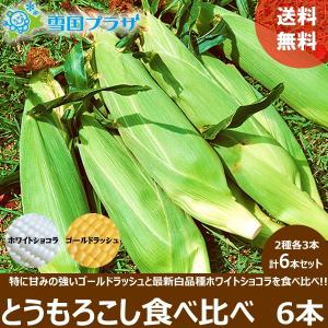 <予約>とうもろこし ゴールドラッシュ ホワイト...