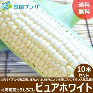 <予約>とうもろこし ピュアホワイト 10本セッ...