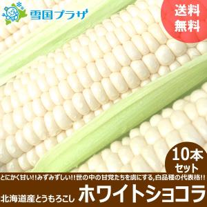 <予約>とうもろこし ホワイトショコラ 10本セ...