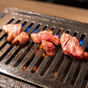 お中元 肉 牛肉 和牛 A5 黒毛和牛 中落ち...の詳細画像4