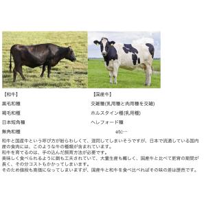 黒毛和牛 牛スジ 1kg 500g × 2 大...の詳細画像3
