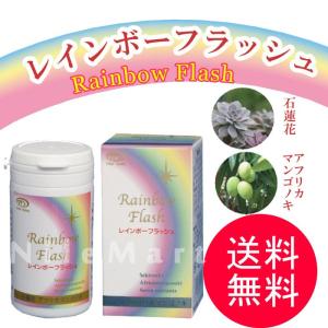 BIORUBBER バイオラバーGタイプ 厚さ 約8mm 山本化学工業 保証書付き