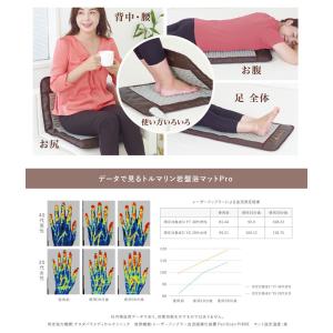 ダイエット 健康 自宅で簡単 プライベート岩盤浴 トルマリン岩盤浴 マットpro ナイルマートでは 電話でのご注文 薬剤師による無料相談あり お気軽にご相談ください 1714 トルマリン岩盤浴マットproトルマリン 岩盤浴マットpro