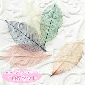 ミニ スケルトンリーフ（30枚セット） ドライフラワー 葉 花材 素材