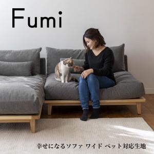 シラカワ ニューラプト 2Pソファ 片肘タイプ 二人掛け NEW RAPT SL
