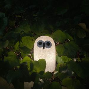 MAGIS（マジス） マジス×イッタラ フロアランプ リンナット オイバ