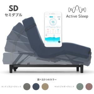 手元スイッチ 旧アクティブスリープ専用 RC-1670 アクティブ