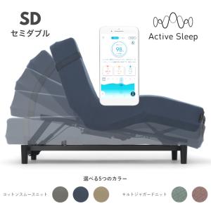 アクティブスリープ セミダブル パラマウントベッド RA-2670 電動リクライニングベッド 介護ベッド Active Sleep BED PARAMOUNT BED｜nimus