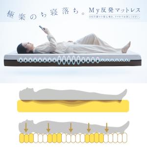 アクティブスリープ マットレス パラマウントベッド MS-C700N Active Sleep 介護ベッド PARAMOUNT BED｜nimus