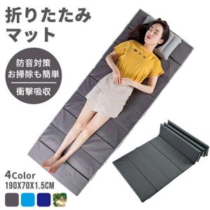 レジャーマット 折りたたみ キャンプマット シン...の商品画像