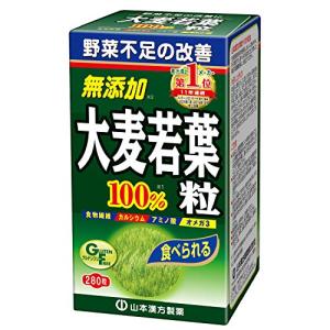 Natural Life 山本漢方製薬 大麦若葉青汁粒100% 280粒｜nina-style