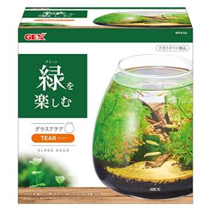 大自然 洞窟有り アクアテラリウム 完成品 GEX 小型ガラス水槽 GEX 新商品でレイアウト！明日は営業してます！！ | 【熱帯魚