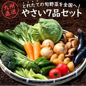 野菜セット 九州産 産直 野菜 詰め合わせ 7品 国産 九州 宅配 お取り寄せ 食材 グルメ ギフト 新鮮 旬 採れたて やさい クール便 VEG-7｜ninas