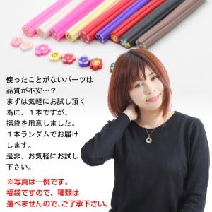 スライス棒 1本お試し 福袋 レジン パーツ ...の詳細画像4
