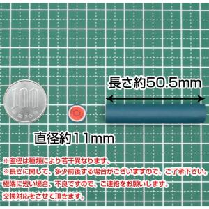 フルーツスライス棒 すいか 大 3本セット 1...の詳細画像3