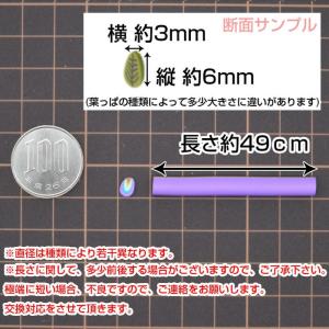 スライス棒 葉っぱ 5本セット 2 スライス棒...の詳細画像3